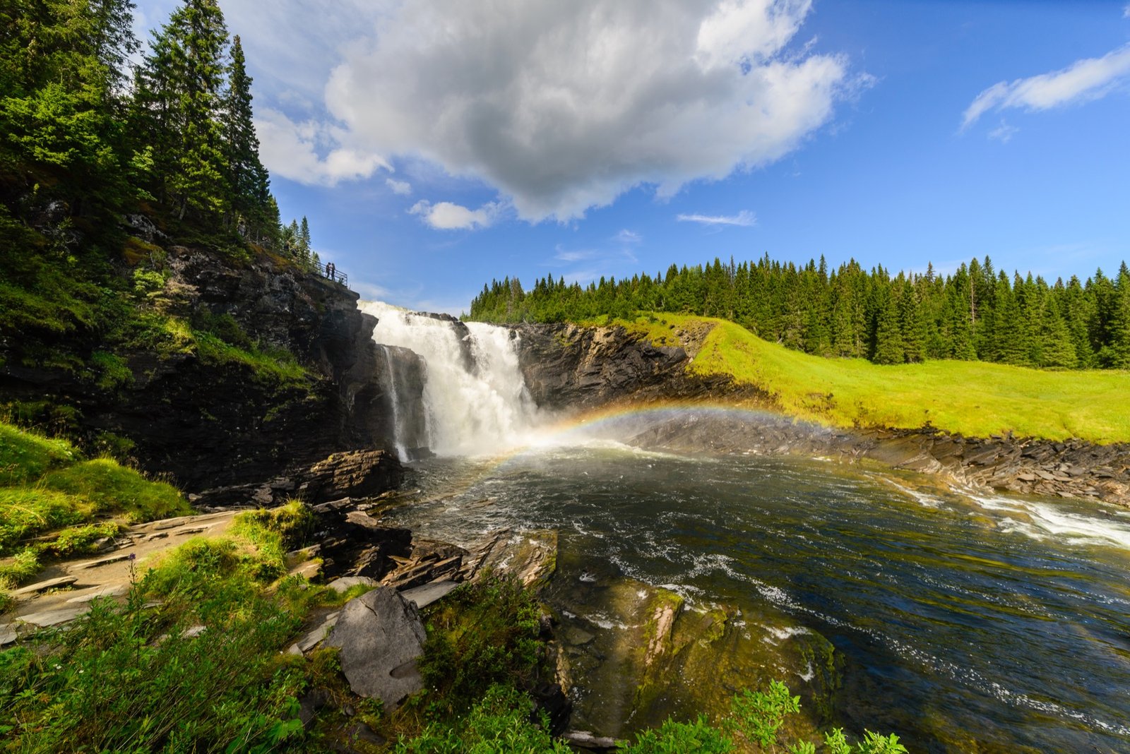 Swedish landscape